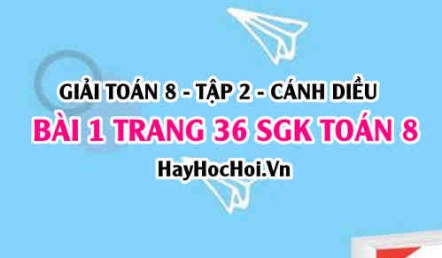 Bài 1 trang 36 Toán 8 Tập 2 Cánh Diều